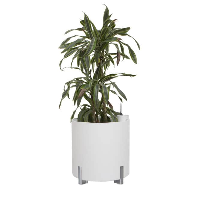 Jardinera Autorriego Modular Mondum 40x40x44,5 cm Redonda Polipropileno Blanco/Plata - Imagen 4