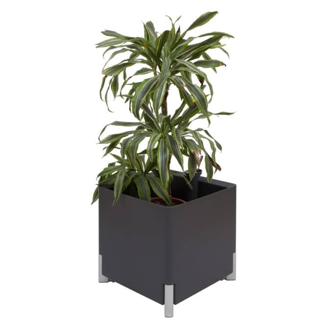 Jardinera Autorriego Modular Mondum 40x40x44,5 cm Cuadrada Polipropileno Antracita/Plata - Imagen 4