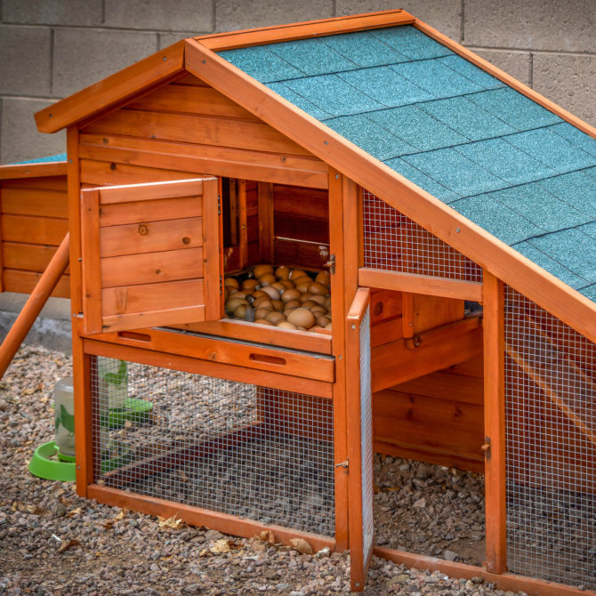 Gallinero de Madera y Metal Galvanizado Gardiun Iowa 77x190x112 cm para 4/5 Gallinas con Rampa y Dos Perchas Tejado a 2 Aguas - Imagen 2